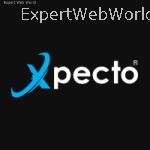 Xpecto |Online e-Commerce Solutions
