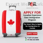 Certified Canadian Immigration Consultant